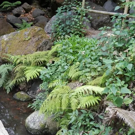 Appartamento Villa * Ponta do Sol (Madeira)