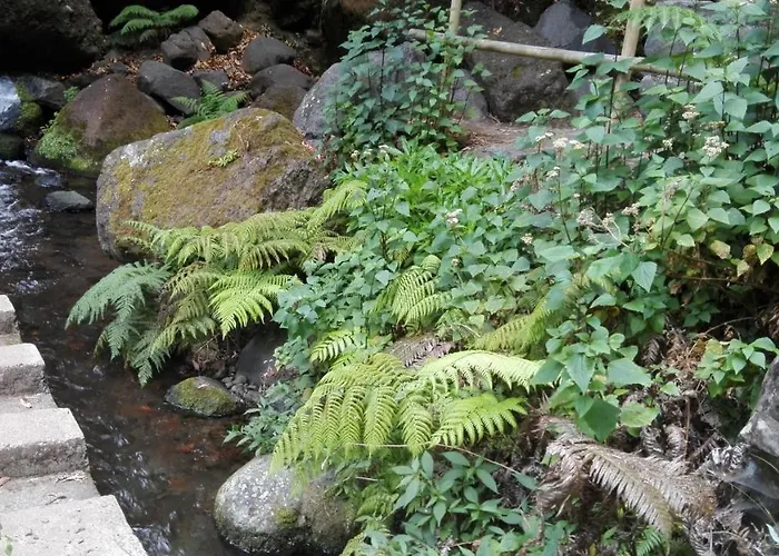 Appartamento Villa * Ponta do Sol (Madeira)