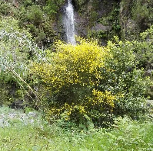 Appartamento Villa Ponta do Sol (Madeira)